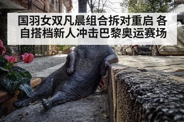 国羽女双凡晨组合拆对重启 各自搭档新人冲击巴黎奥运赛场